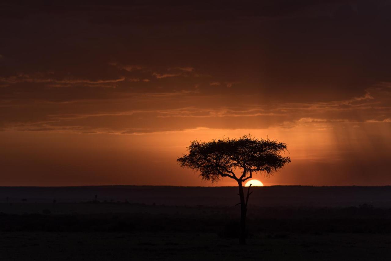 Africa Safari Maasai Boma Villa Serengeti Dış mekan fotoğraf